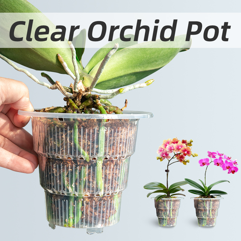 Aloe Vera Pot - Meshpot หม้อกล้วยไม้พลาสติกใสพร้อมรูและจานรองสําหรับ Repotting เครื่องปลูกกล้วยไม้ขนาดเล็ก Root Control