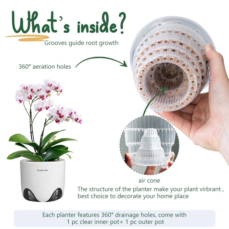 Aloe Vera Pot - Meshpot Orchid Pots หลุม CLEAR Orchid