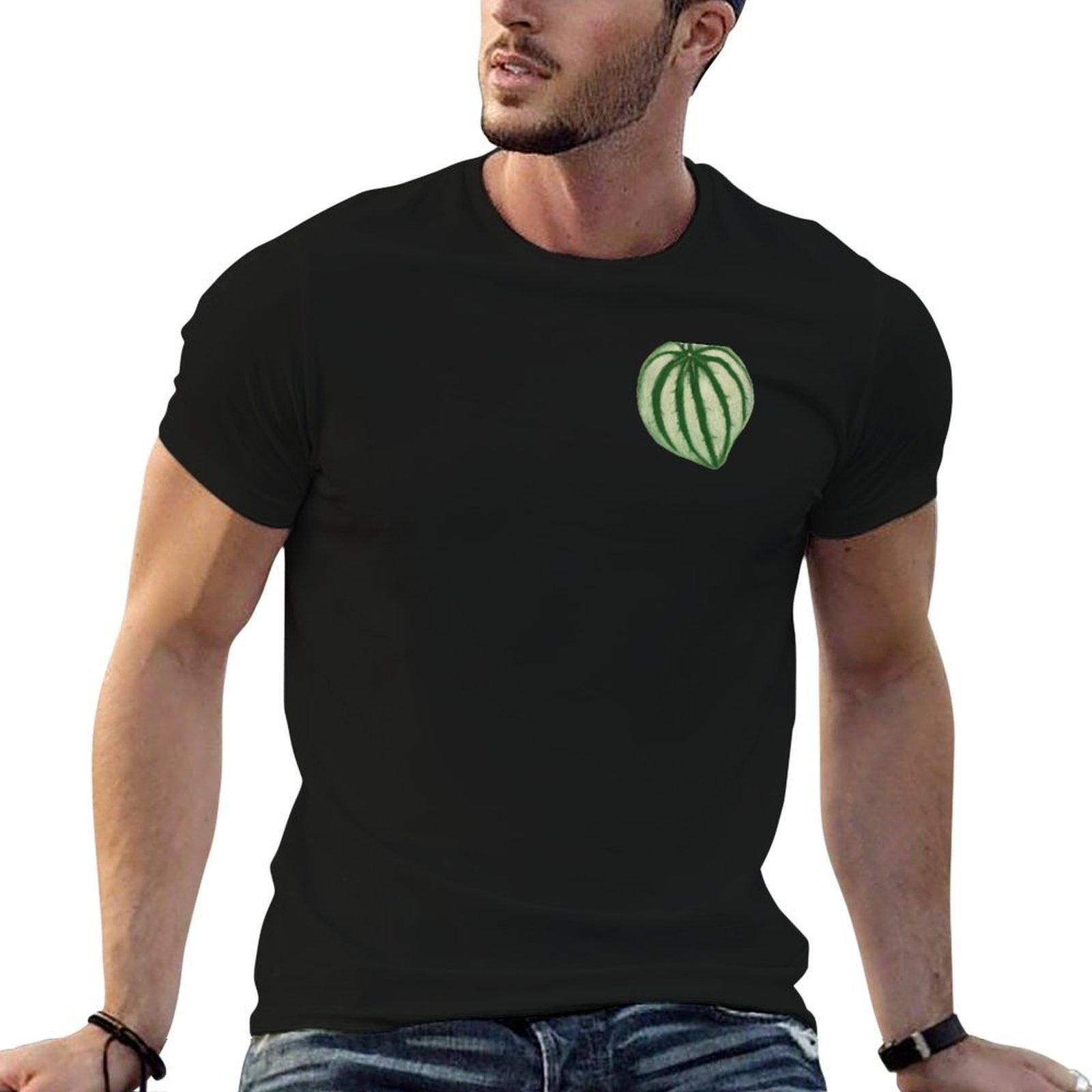 Peperomia Watermelon - เสื้อยืดลายแตงโมและพีเปอร์โอมิอา ลายสัตว์ สำหรับเด็กผู้ชาย แฟนกีฬา เสื้อยืดสีพื้น สำหรับผู้ชาย