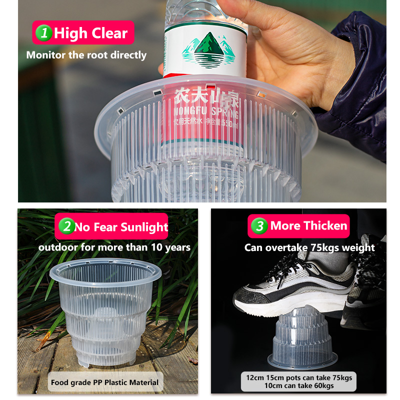 Meshpot หม้อกล้วยไม้พลาสติกใสพ - Aloe Vera Pot บทวิจารณ์และราคา