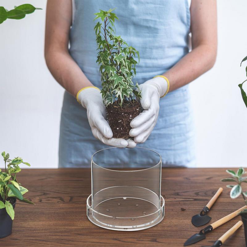 ล้างกระถางต้นไม้ระบายน้ําล้าง  - Aloe Vera Pot บทวิจารณ์และราคา