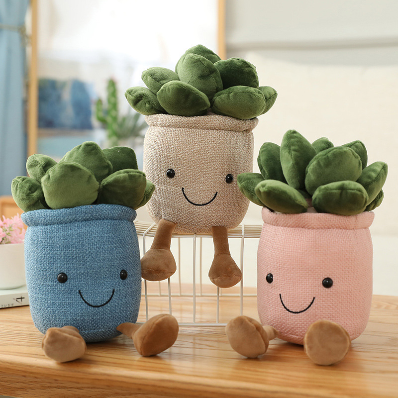 ตุ๊กตาต้นทิวลิปและไม้อวบน้ำเสม - Echeveria Succulent บทวิจารณ์และราคา