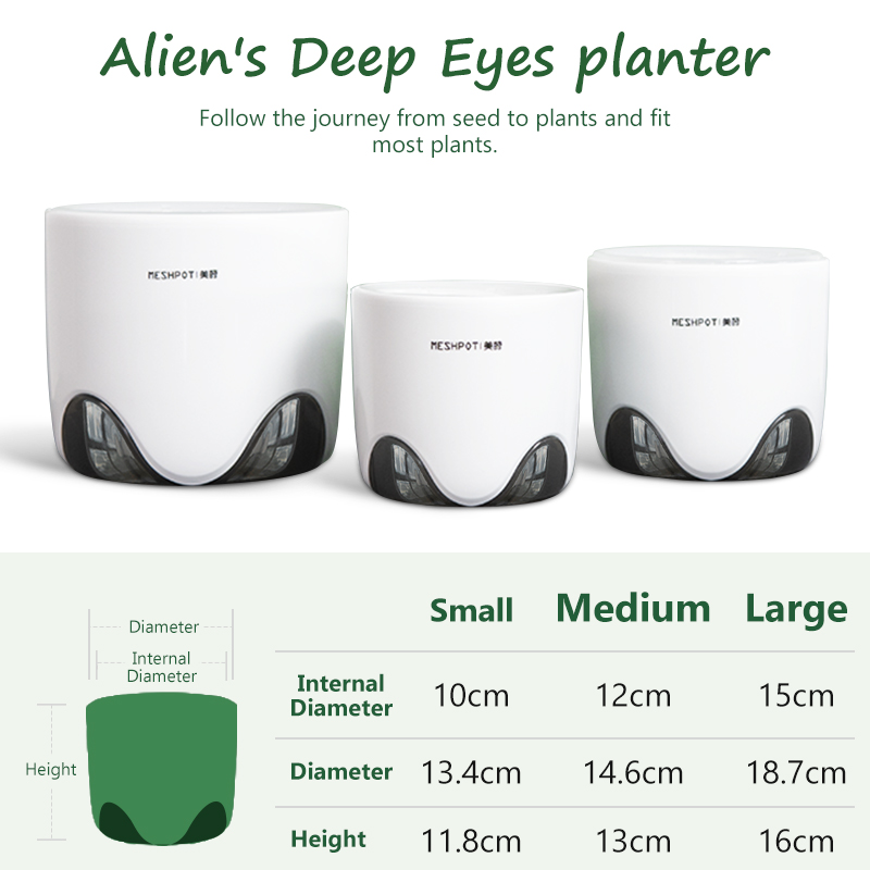 Meshpot Orchid Pots หลุม CLEAR - Aloe Vera Pot บทวิจารณ์และราคา