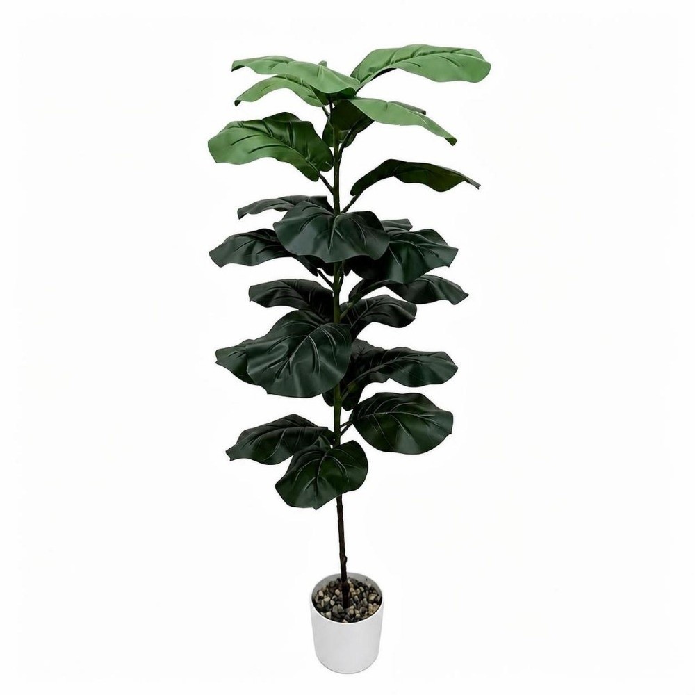 9/15/23 ใบไม้ประดิษฐ์ ต้นไทรลี - Ficus Lyrata Tree บทวิจารณ์และราคา